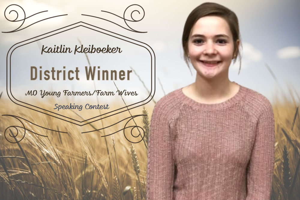 FFA District Winner