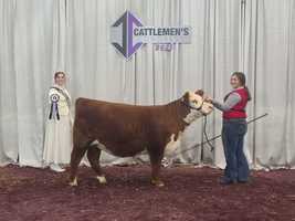 FFA Cattlemens Congress