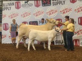 Ozark Empire Fair Winners!
